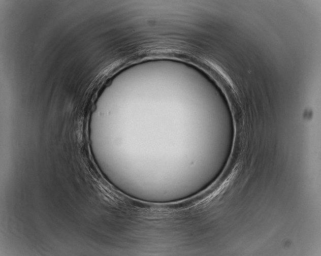 X0000100860777200806200837