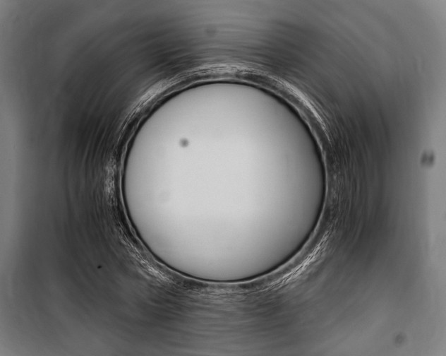 X0000100860778200806200837