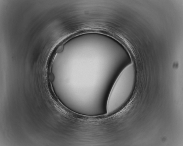 X0000100860779200806200837