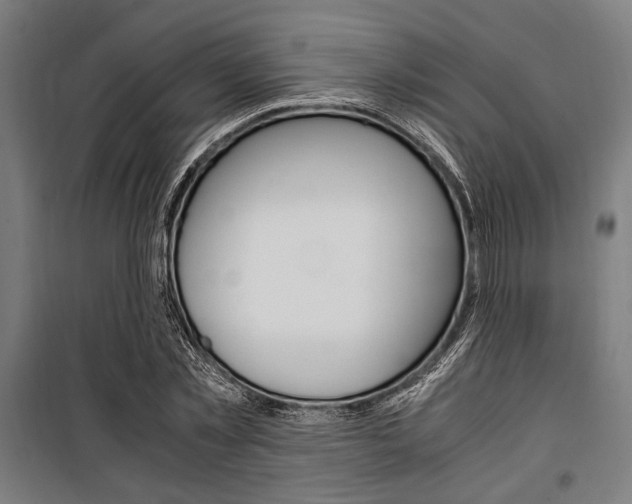 X0000100860781200806200837