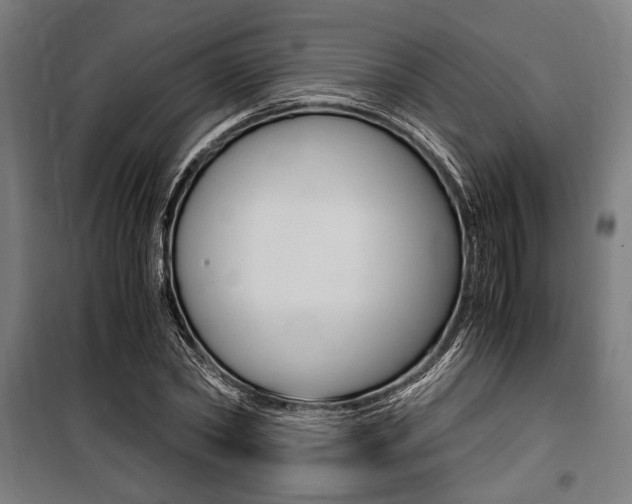 X0000100860782200806200837