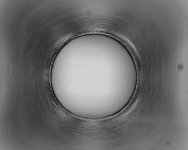 X0000100860785200806200837