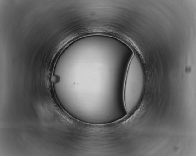 X0000100860786200806200837