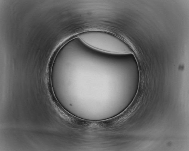 X0000100860787200806200837