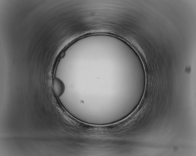 X0000100860789200806200837