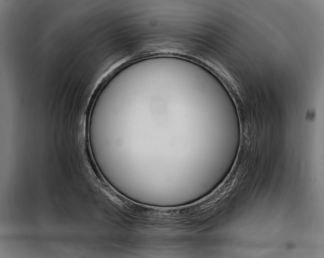X0000100860790200806200837