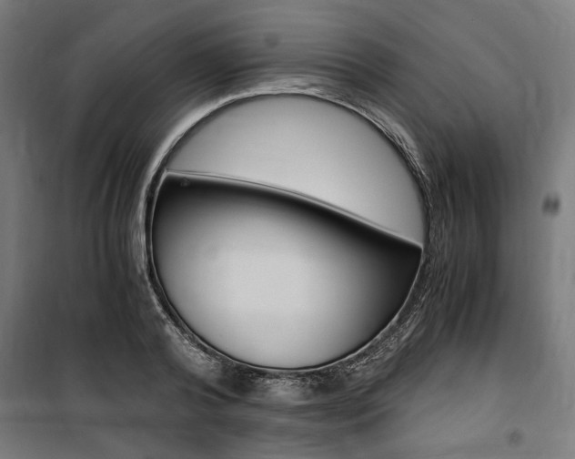 X0000100860792200806200837