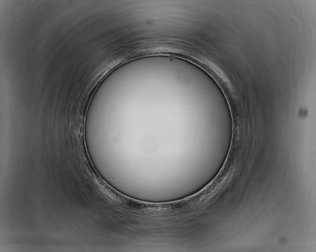 X0000100860793200806200837