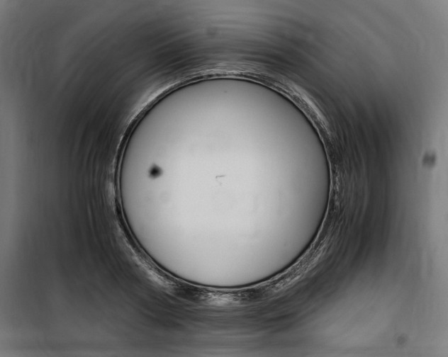 X0000100860794200806200837