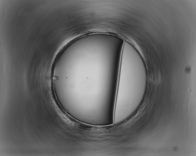 X0000100860795200806200837