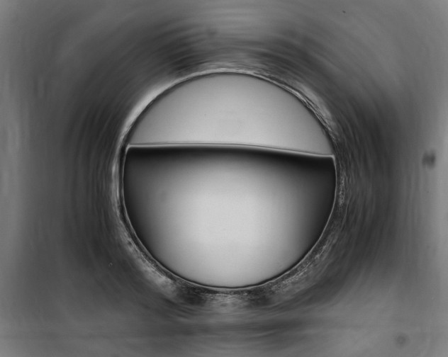 X0000100860796200806200837