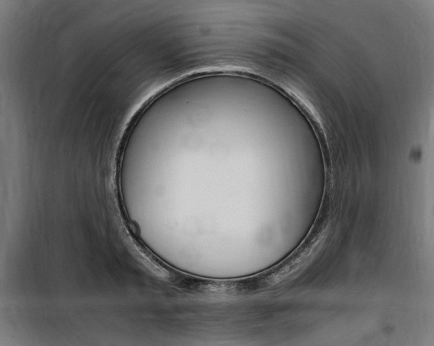 X0000100860797200806200837