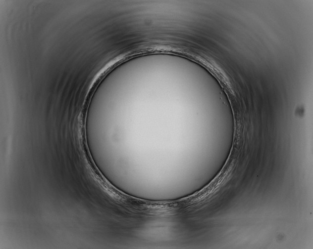 X0000100860798200806200837