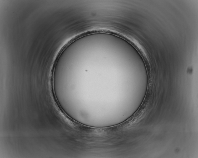 X0000100860799200806200837