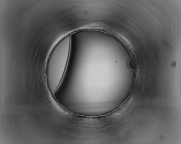 X0000100860800200806200837