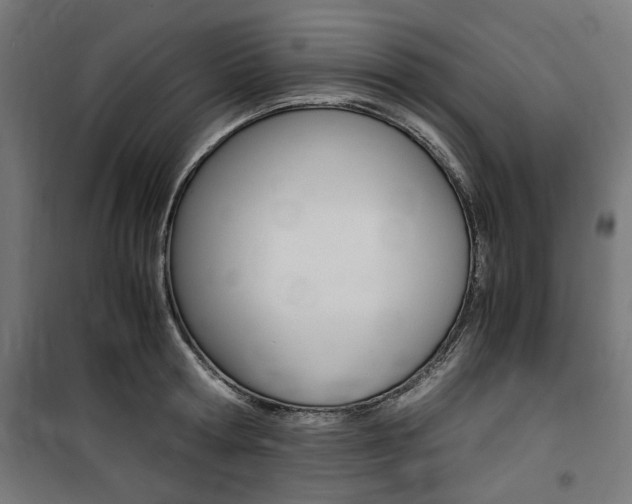 X0000100860802200806200837