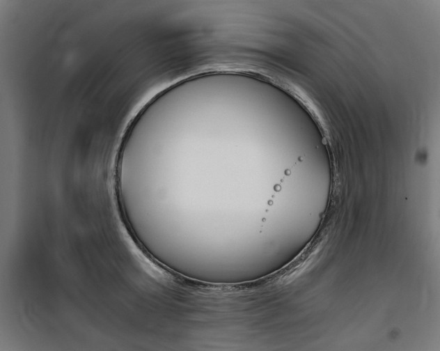 X0000100860803200806200837