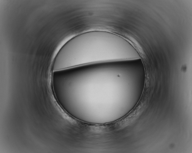 X0000100860804200806200836