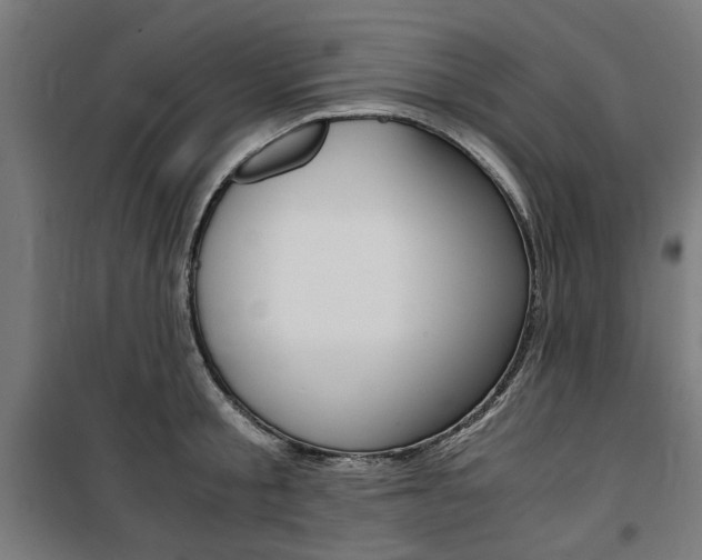 X0000100860805200806200836