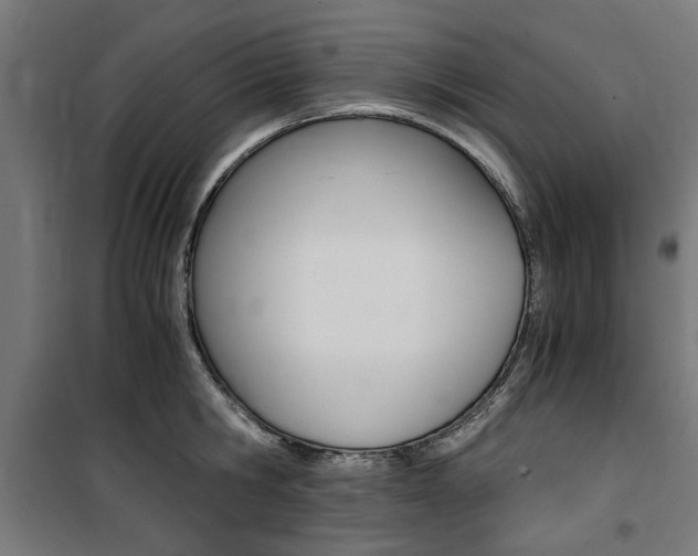 X0000100860806200806200836