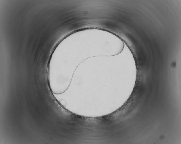 X0000100860807200806200836
