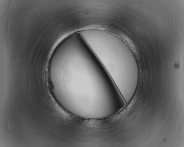 X0000100860808200806200836