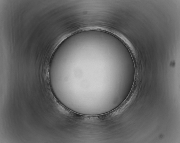 X0000100860809200806200836