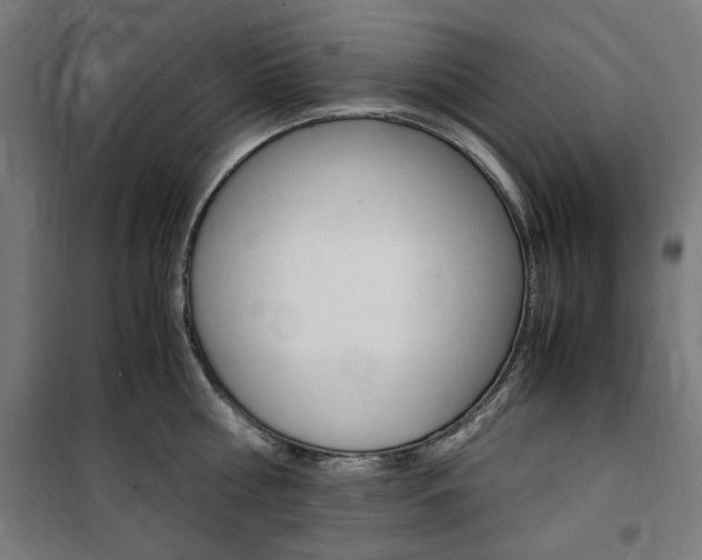 X0000100860810200806200836
