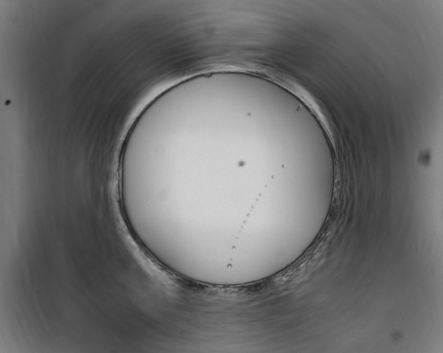 X0000100860811200806200836
