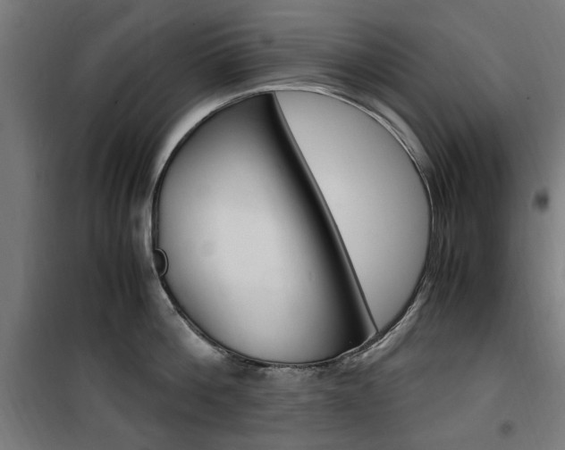 X0000100860812200806200836
