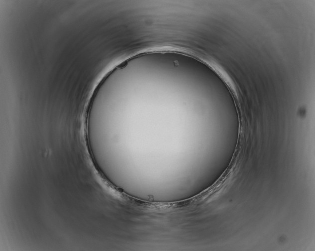 X0000100860813200806200836
