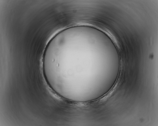 X0000100860814200806200836