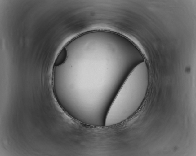 X0000100860815200806200836