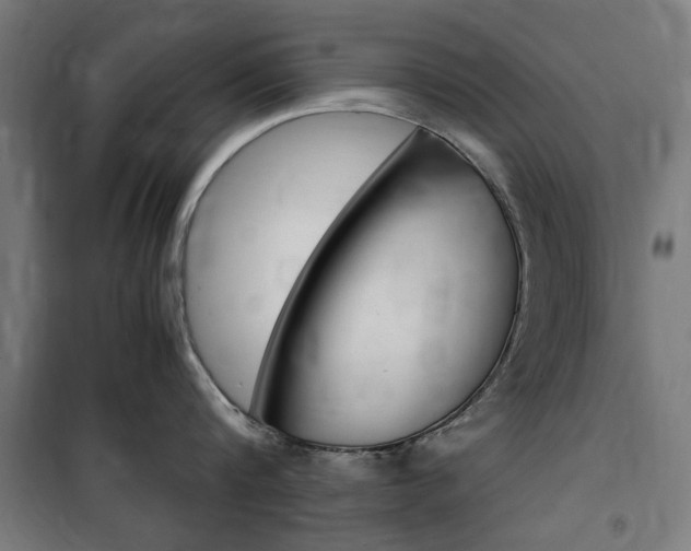 X0000100860816200806200836