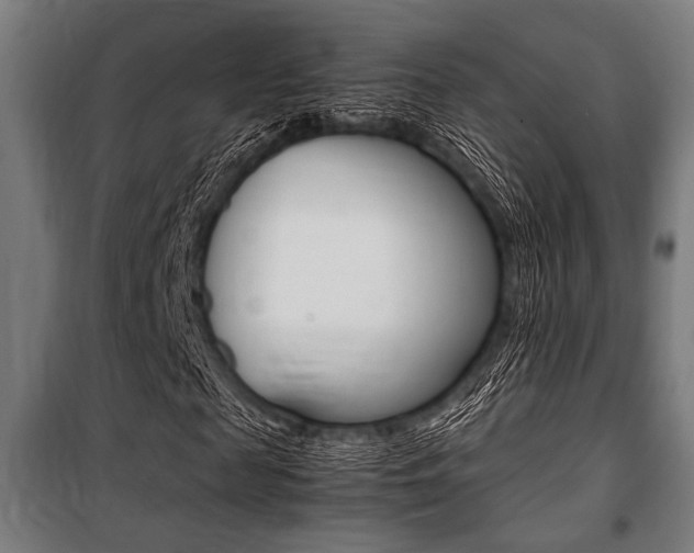 X0000100860817200806200836