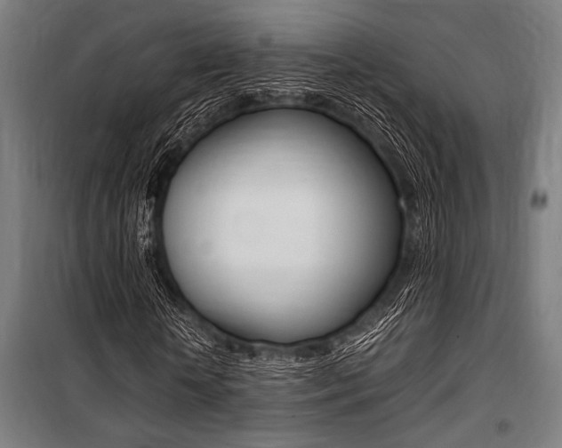 X0000100860818200806200836