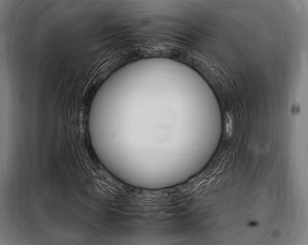 X0000100860819200806200836