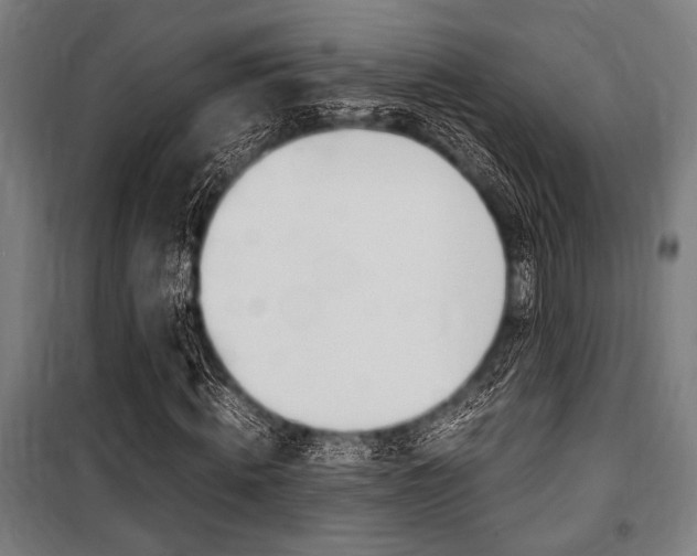 X0000100860820200806200836