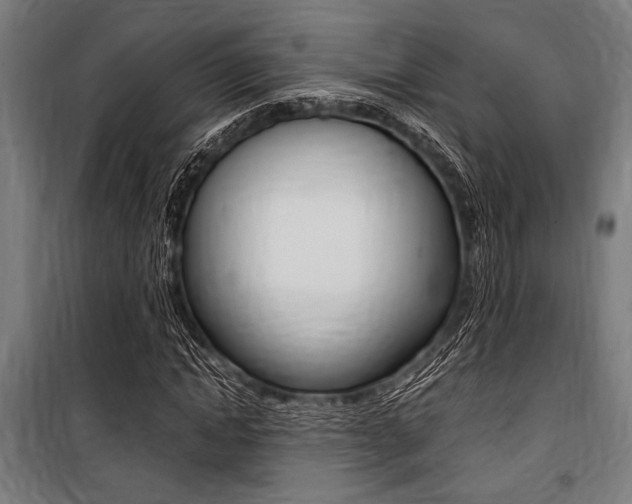 X0000100860822200806200836