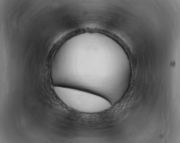 X0000100860823200806200836