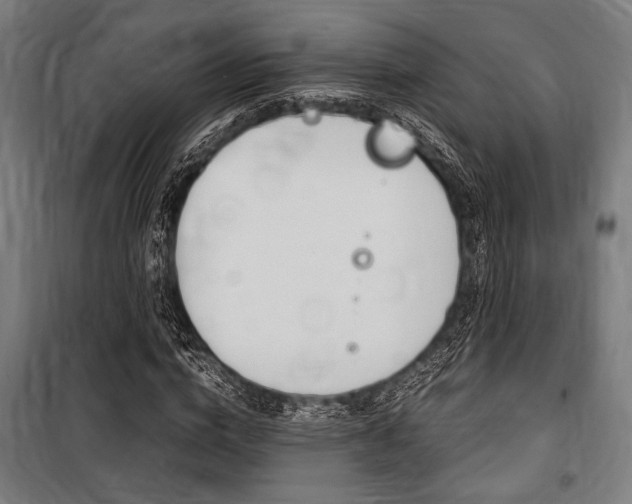 X0000100860824200806200836