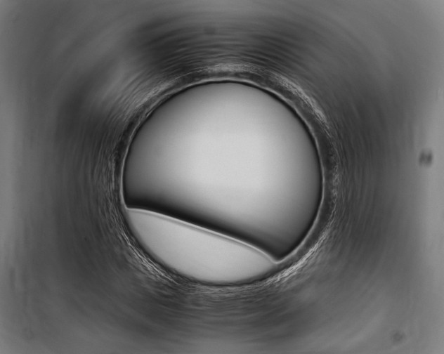 X0000100860825200806200836