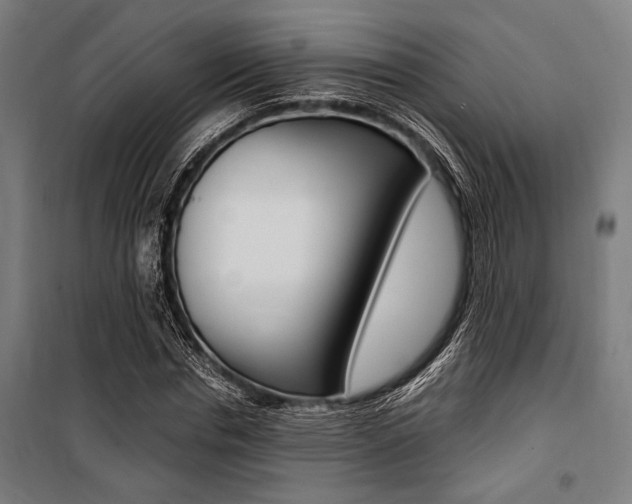 X0000100860826200806200836