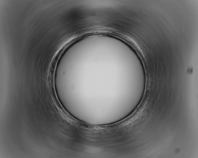X0000100860827200806200836