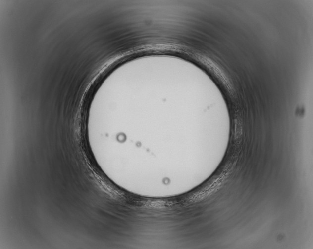 X0000100860828200806200836