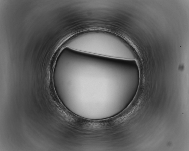 X0000100860829200806200836