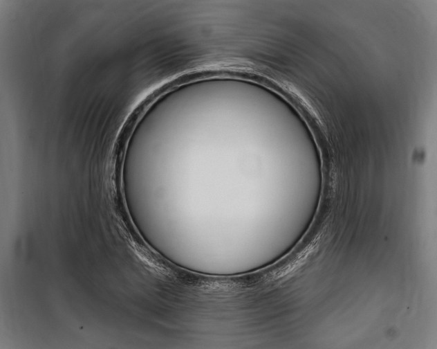 X0000100860830200806200836