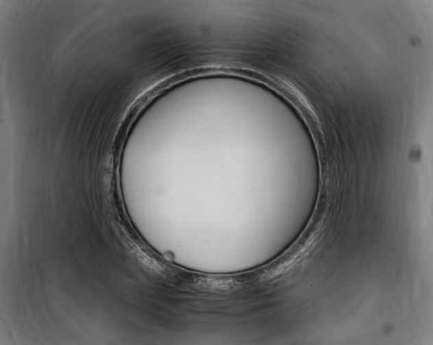 X0000100860831200806200836