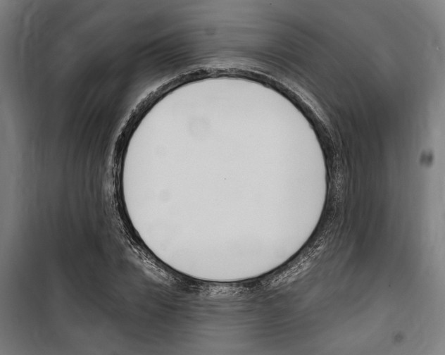 X0000100860832200806200836