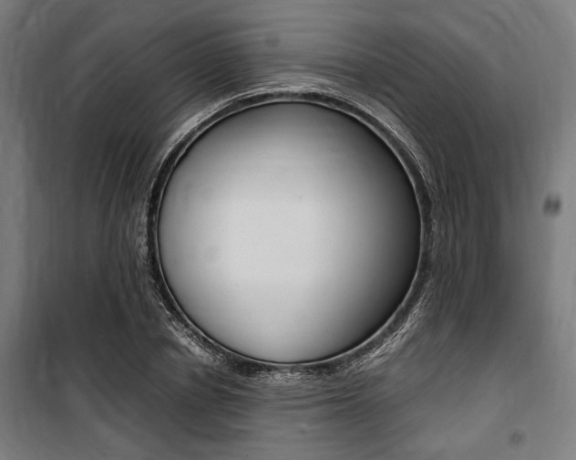 X0000100860834200806200836